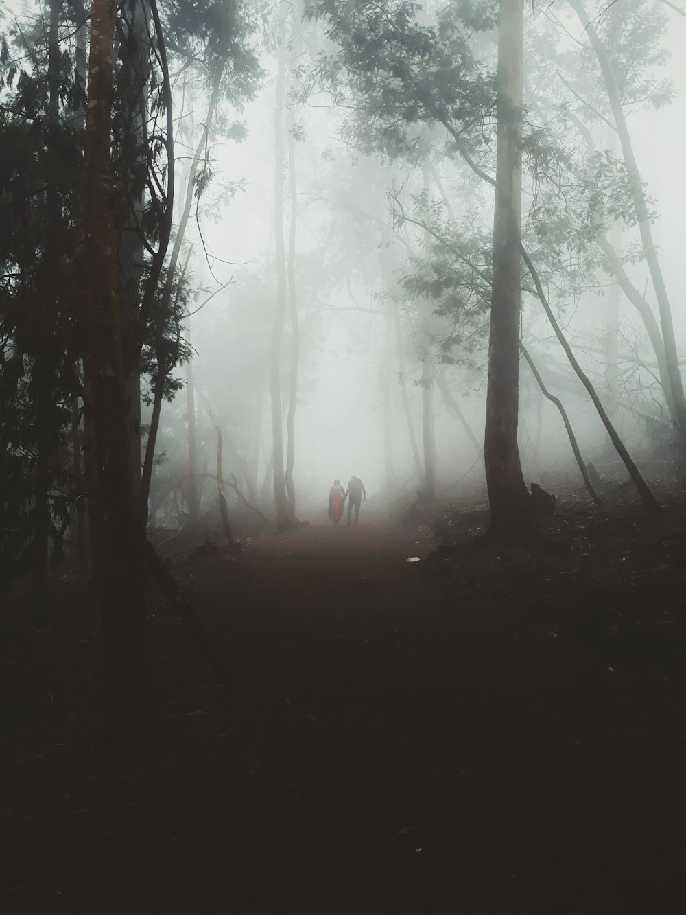 two people are walking through a foggy forest