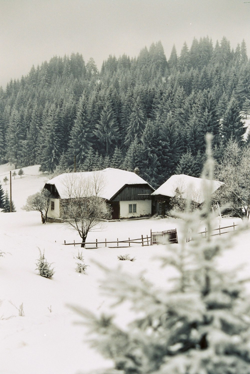 cabin covered with snow