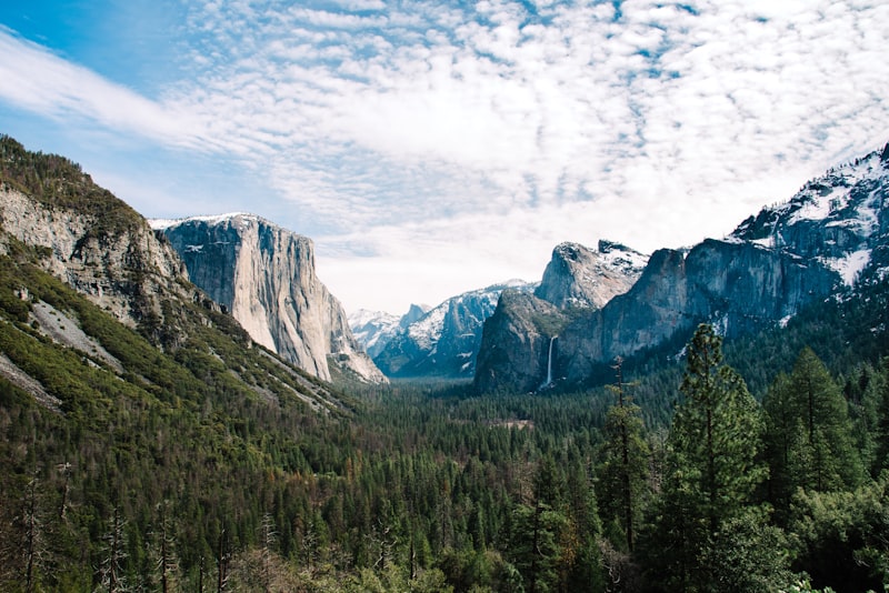 Secuoyas y cielo nublado en Yosemite