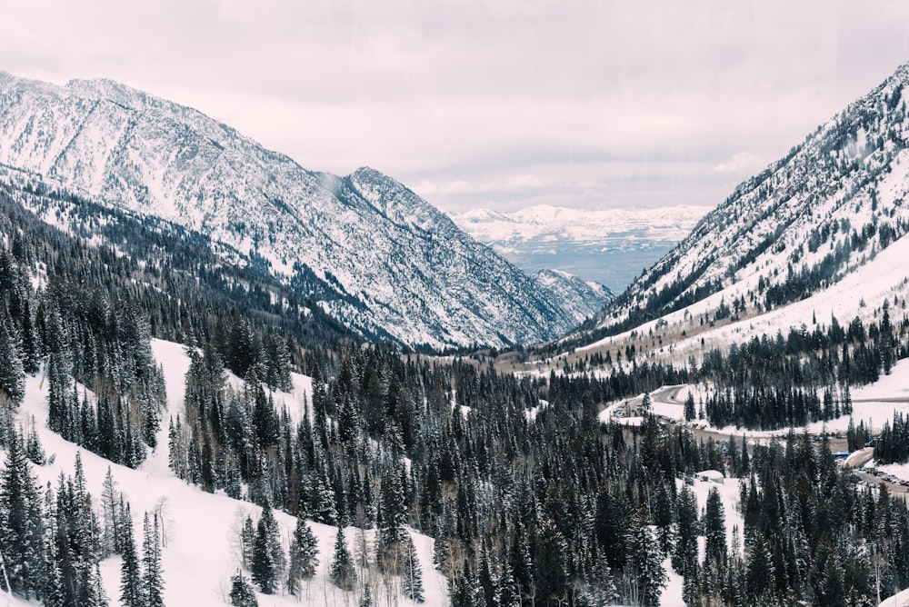 snow covered mountain slopes with pine trees