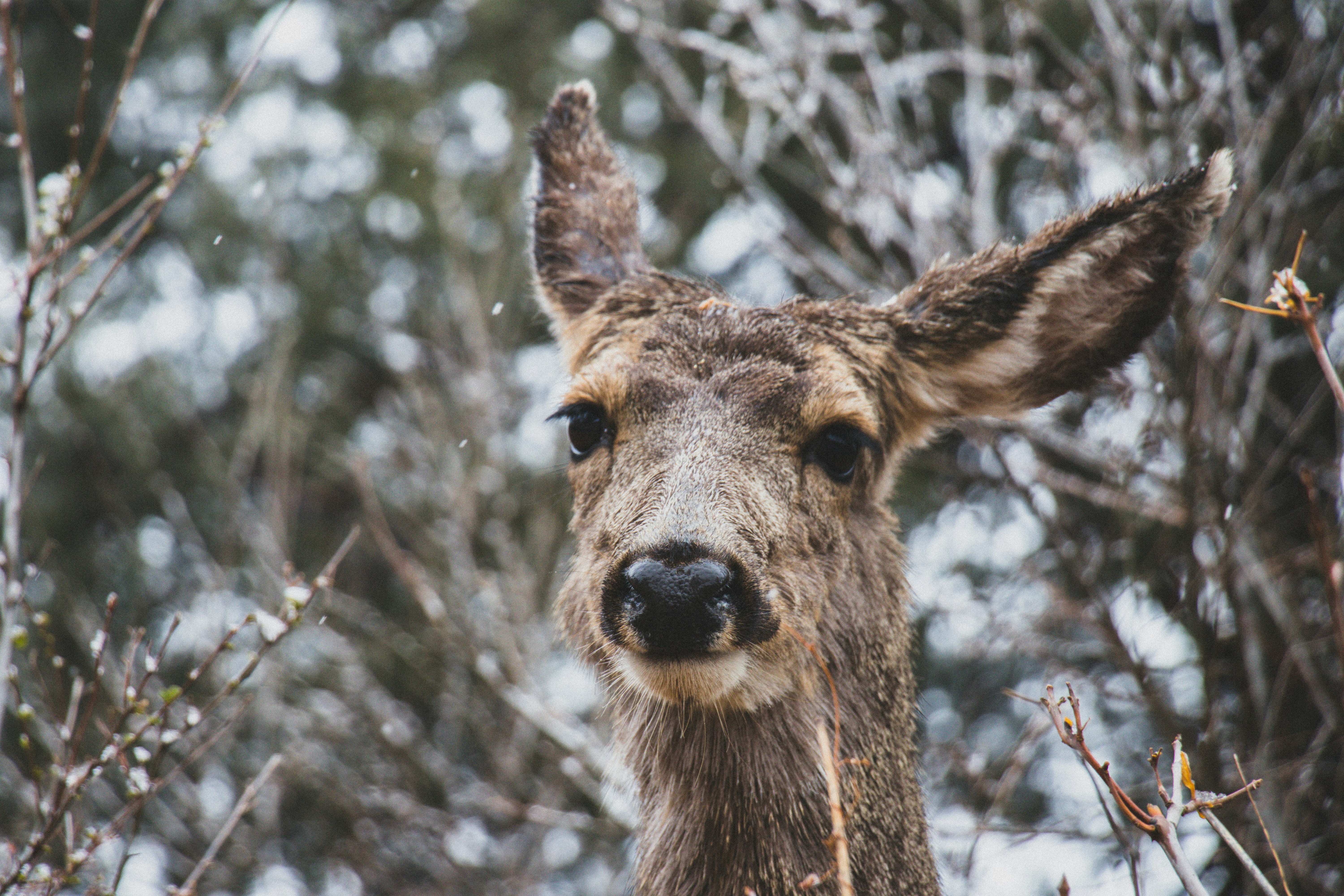 Photo by dotthevisionary