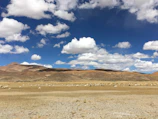 Traditional Andean landscape with cattle grazing under a clear blue sky.