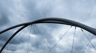 A large arch bridge structure is silhouetted against a cloudy sky. The curved metal beams are supported by cables, creating a modern architectural design.