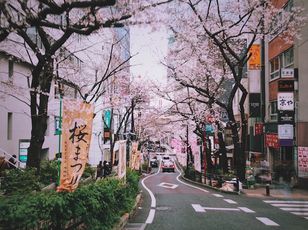 city buildings and traffic road