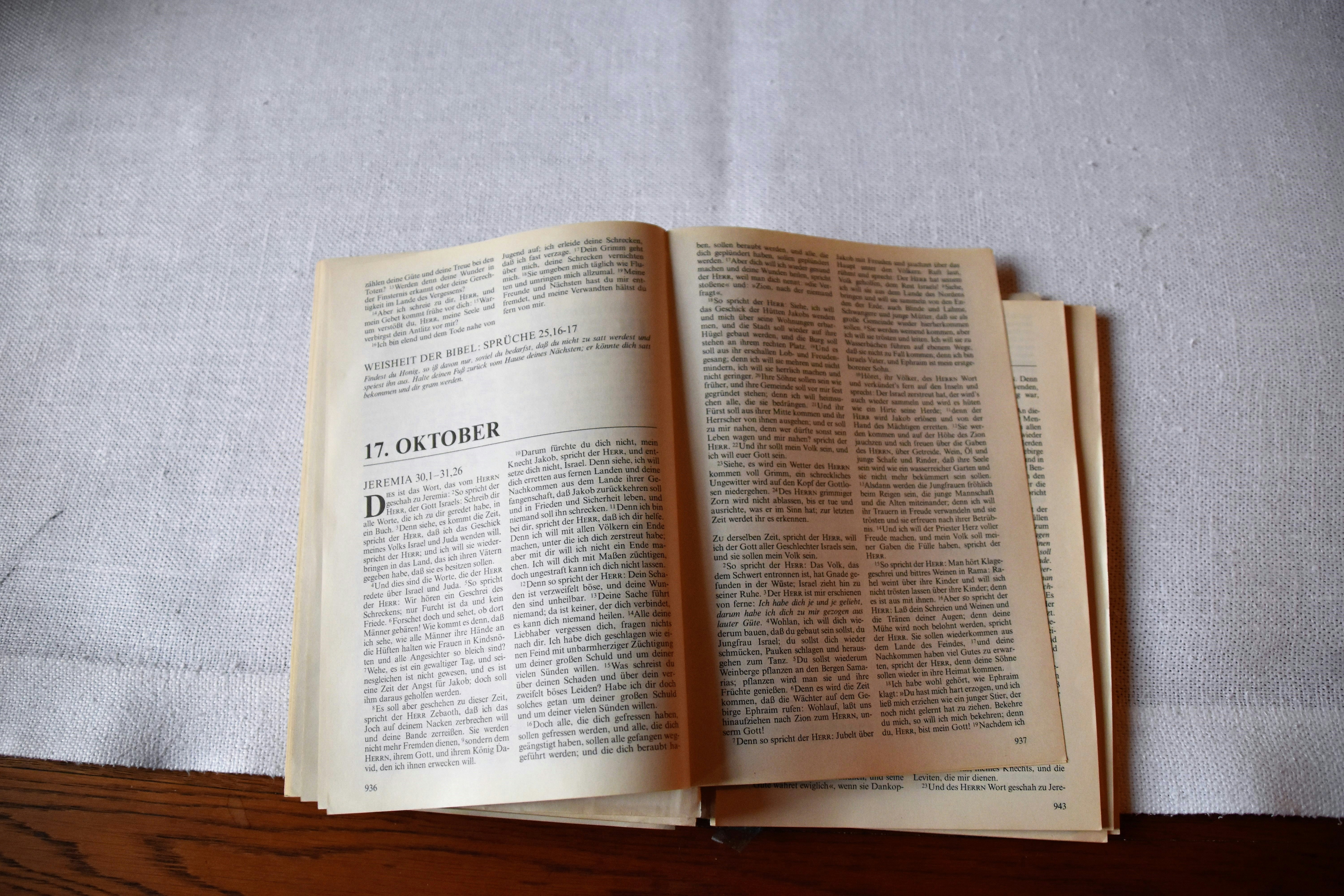 Photo by waldemarbrandt67w