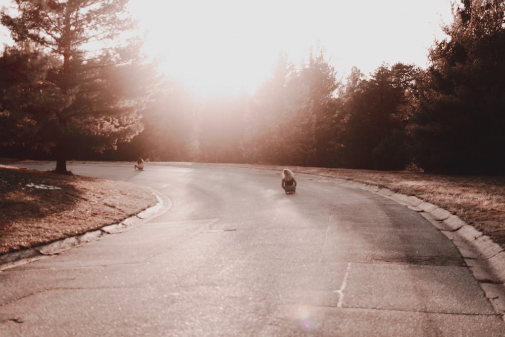 women riding on skateboard near trees