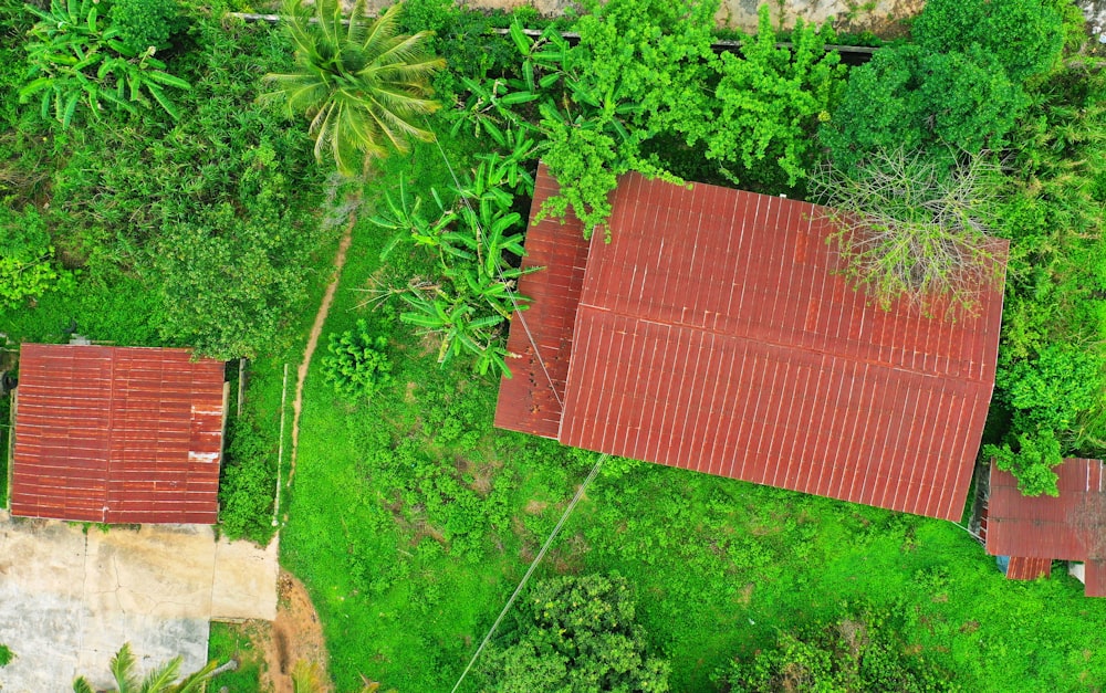 bird's eye photography of red galvanized iron sheet house