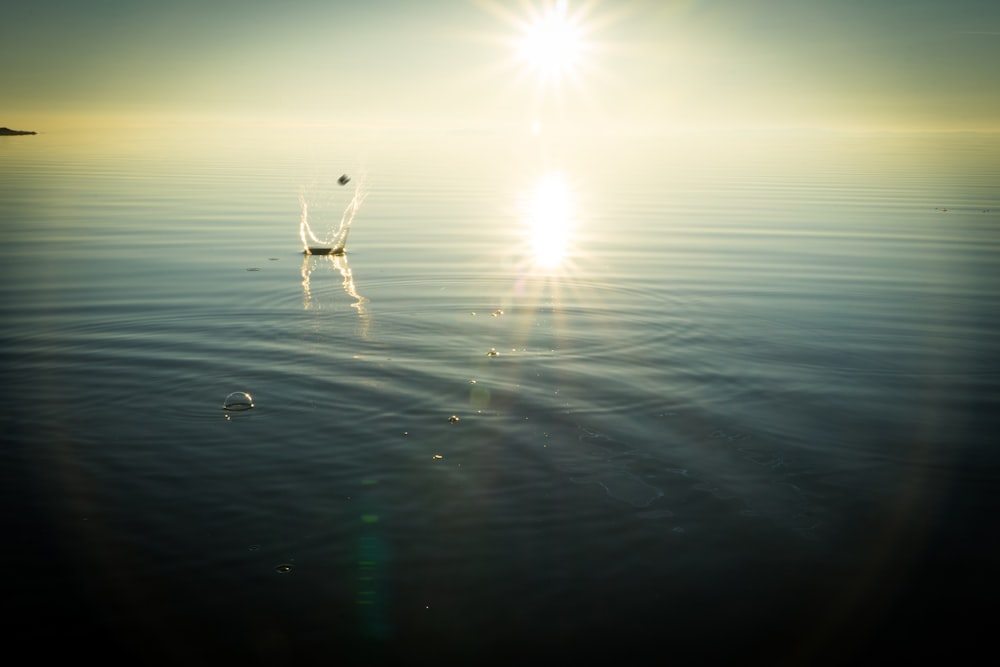 silhouette photography of body of water