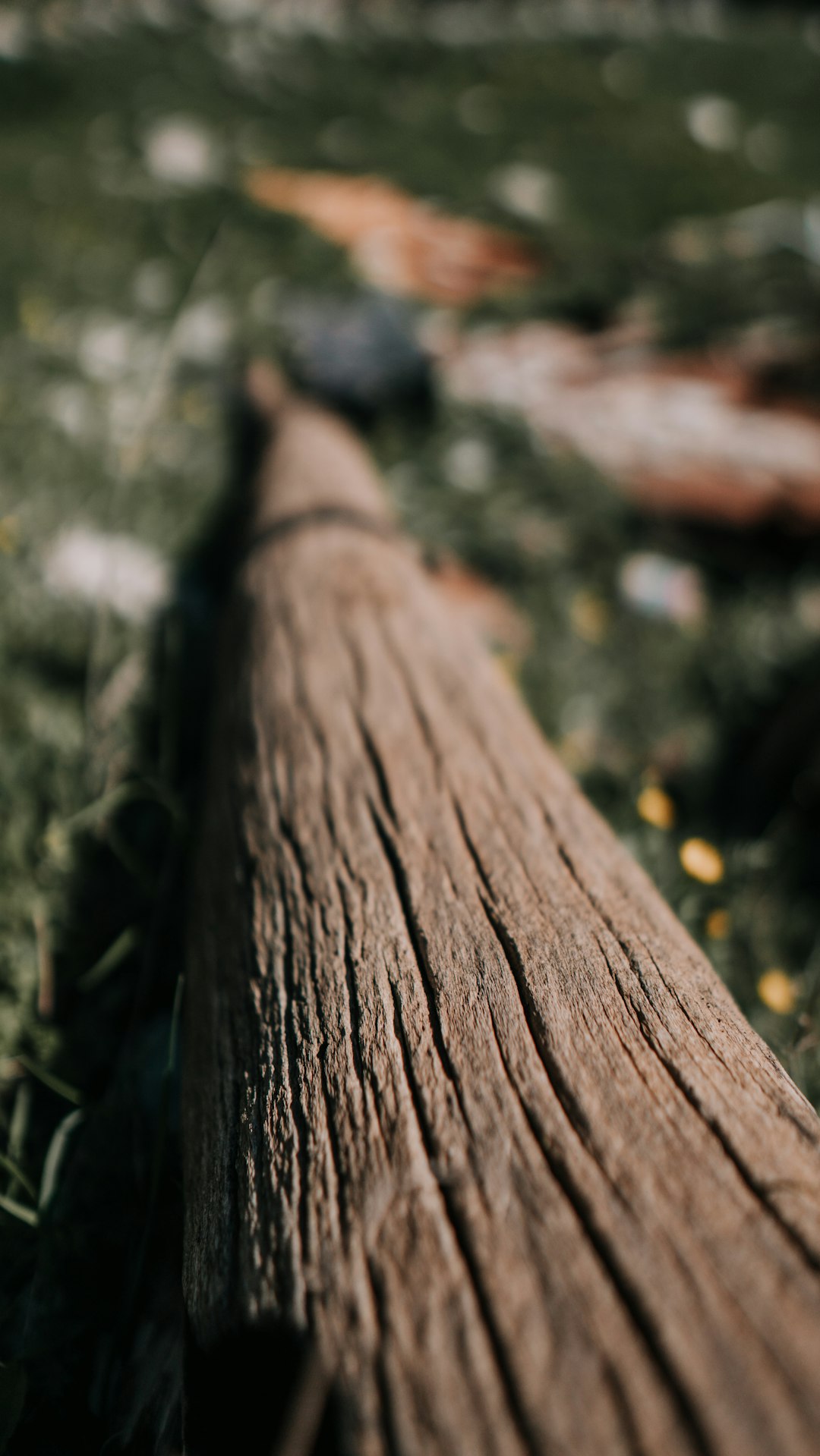 brown wooden stick selective focus photography