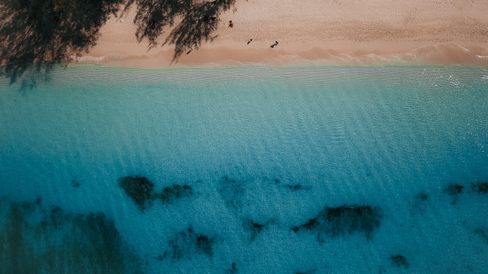 top-view photography of beach during daytime