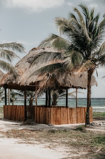 A rustic beach hut made of wooden materials with a thatched roof stands near the shore. The structure is surrounded by large palm trees, and the ocean extends into the horizon, creating a serene coastal scene.
