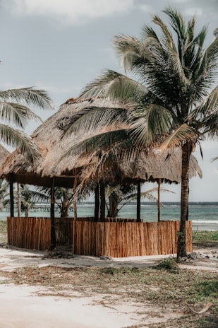 Cozy beachfront bungalow with rustic wooden accents and ocean breeze.