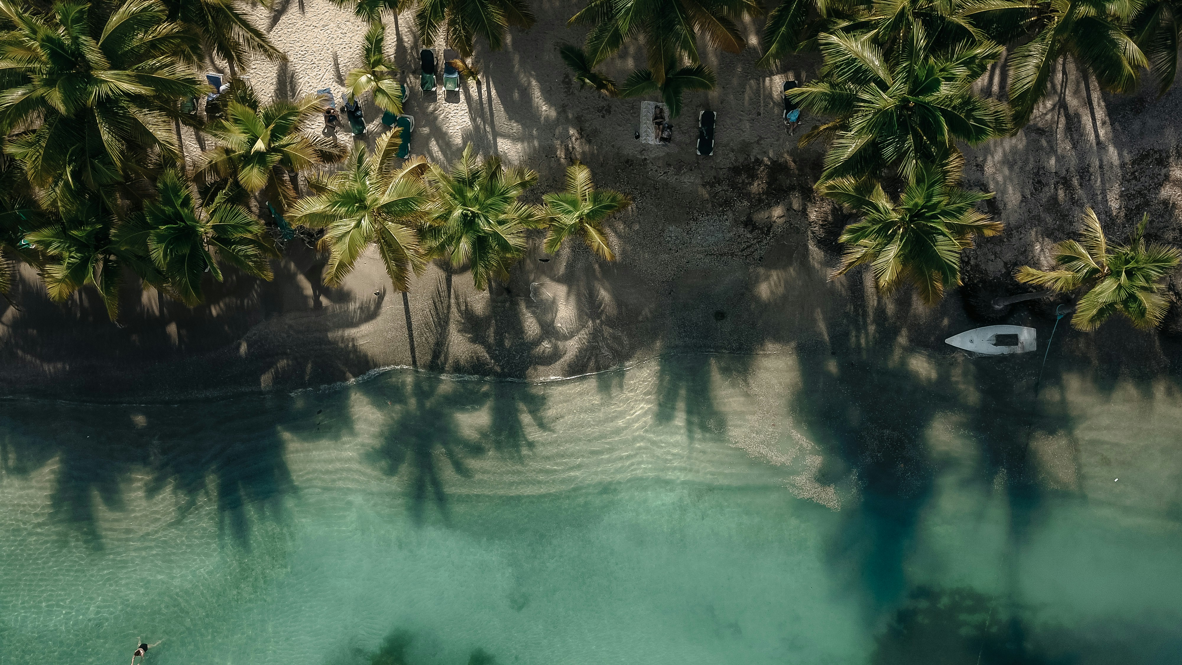 Boot am Ufer unter Kokospalme
