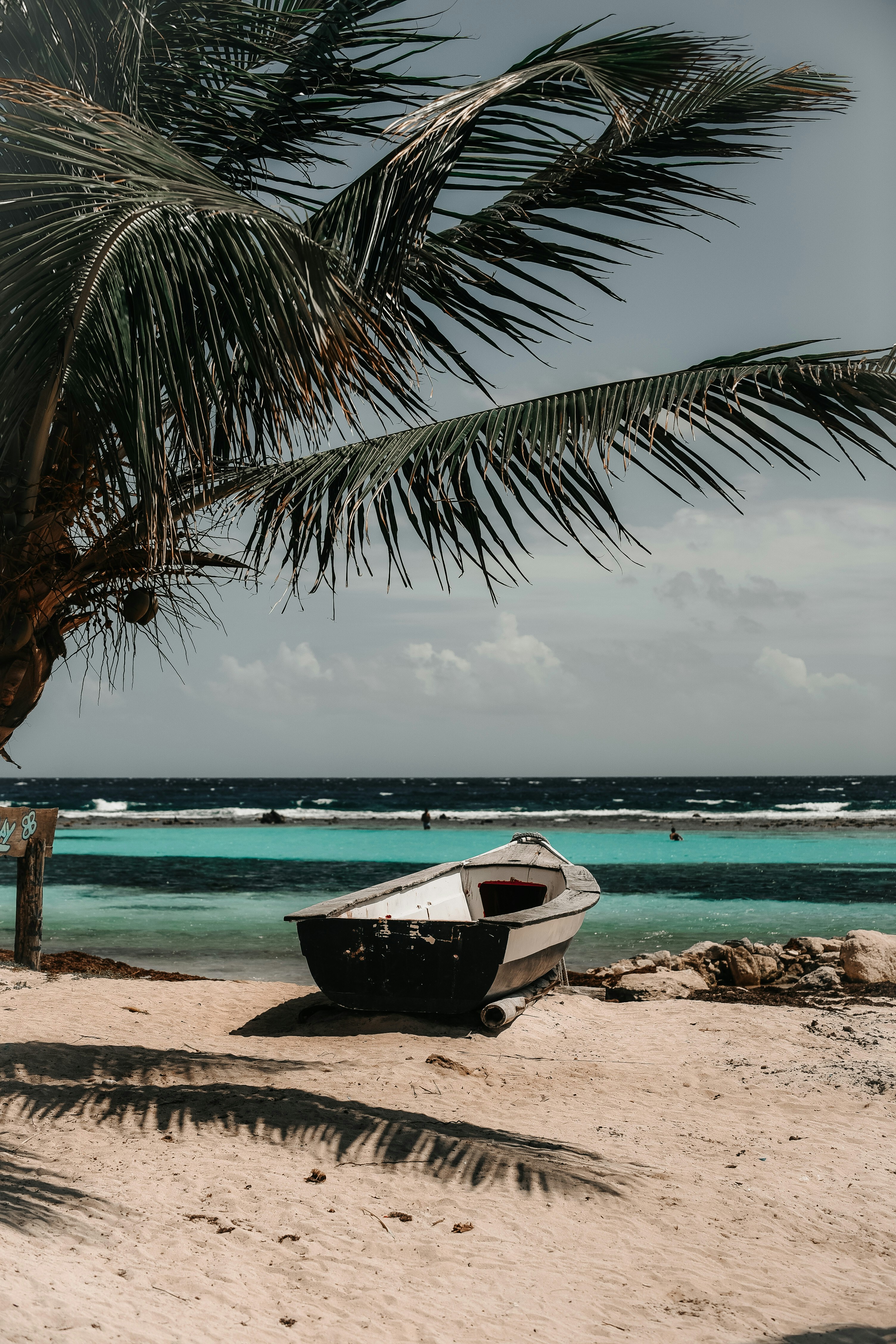 weißes Kanuboot neben grüner Palme