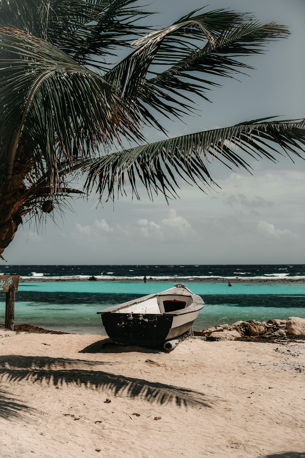 white canoe boat beside green palm tree