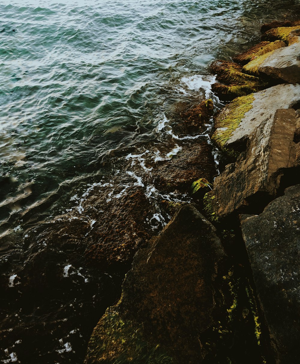 body of water during daytime