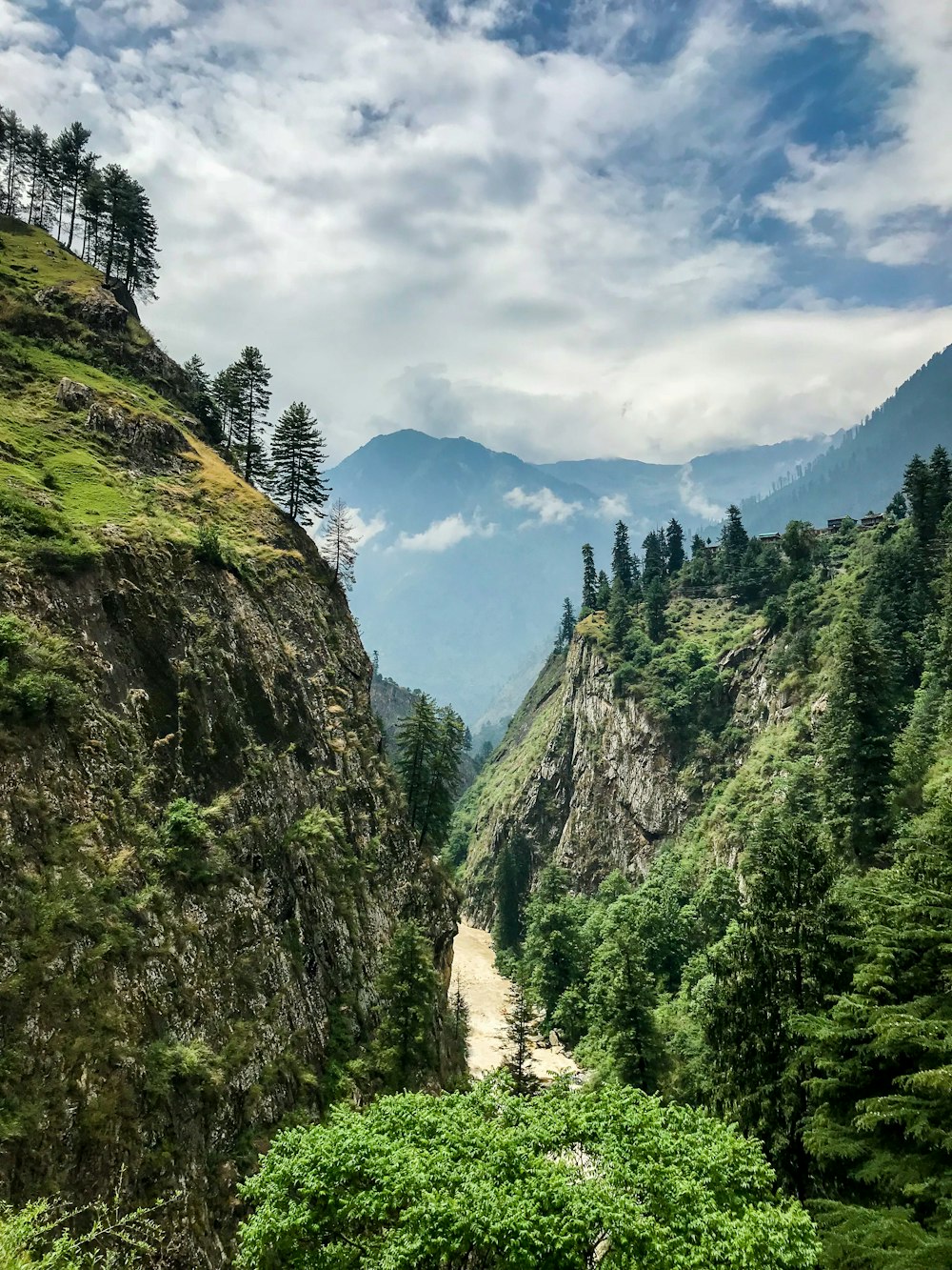 landscape photography of mountain surrounded with trees