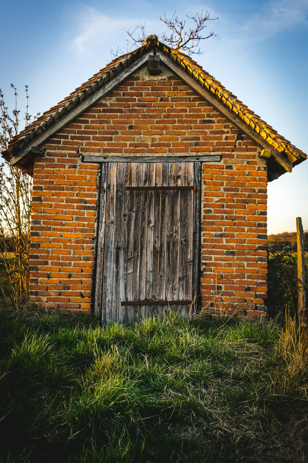 brown concrete house