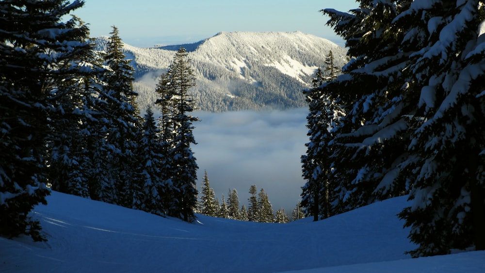 mountain range covered by snow under clear blue sky