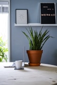 A minimalist interior setting featuring a wooden table with a potted snake plant and a closed laptop on it. Adjacent is a white mug placed on a coaster. Above, a shelf holds framed artwork of an insect and a letter board with various symbols and the text 'HOERA CATO 5'. The wall is painted a soothing gray shade, and there is natural light coming through a window with blinds.