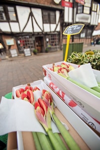 Bundles of red and green amaryllis flowers are placed in rectangular boxes on a market stall. In the background, there is a historic half-timbered building with wooden beams and white infill panels, which appear slightly out of focus.