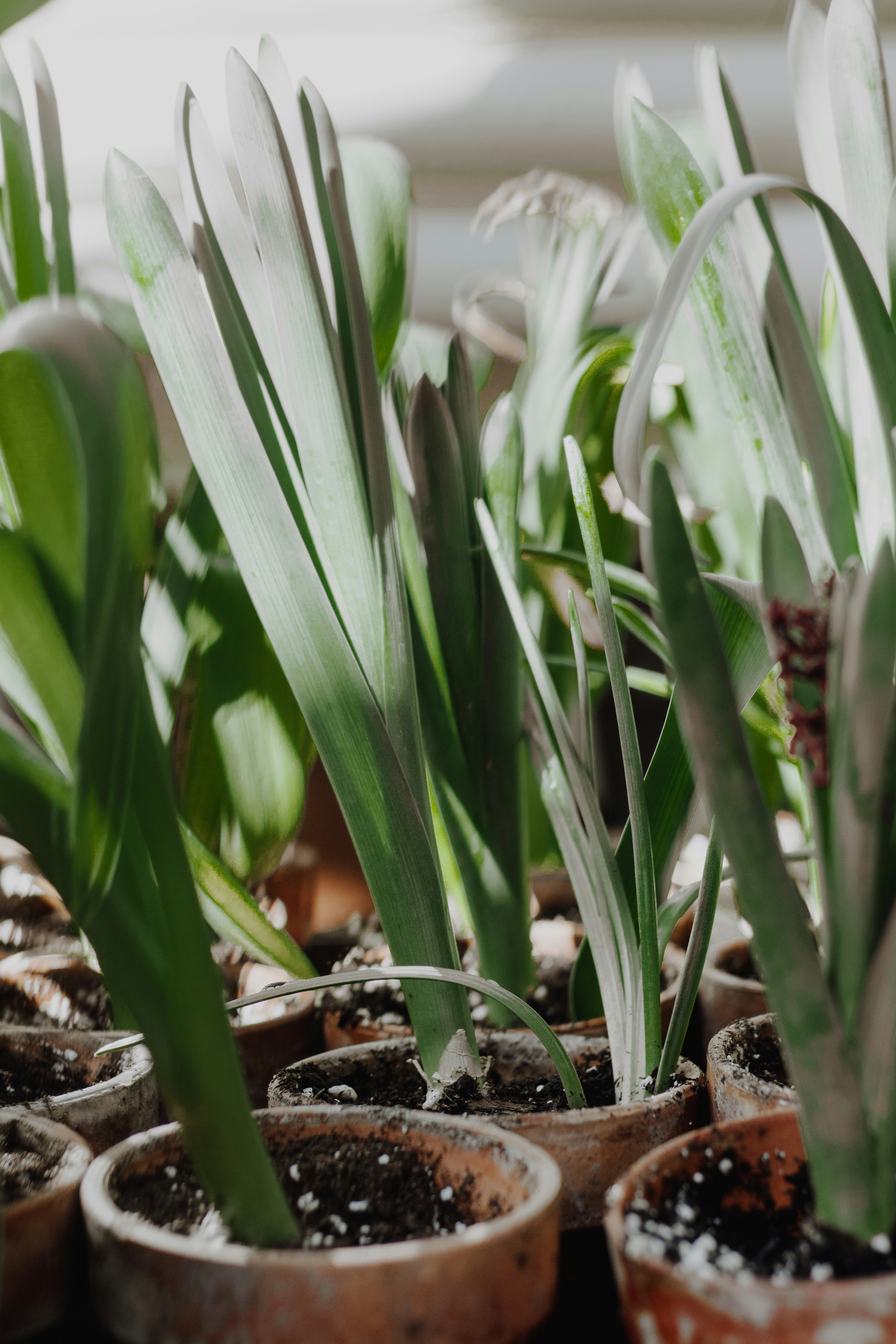 Photo by hayleymurrayphoto