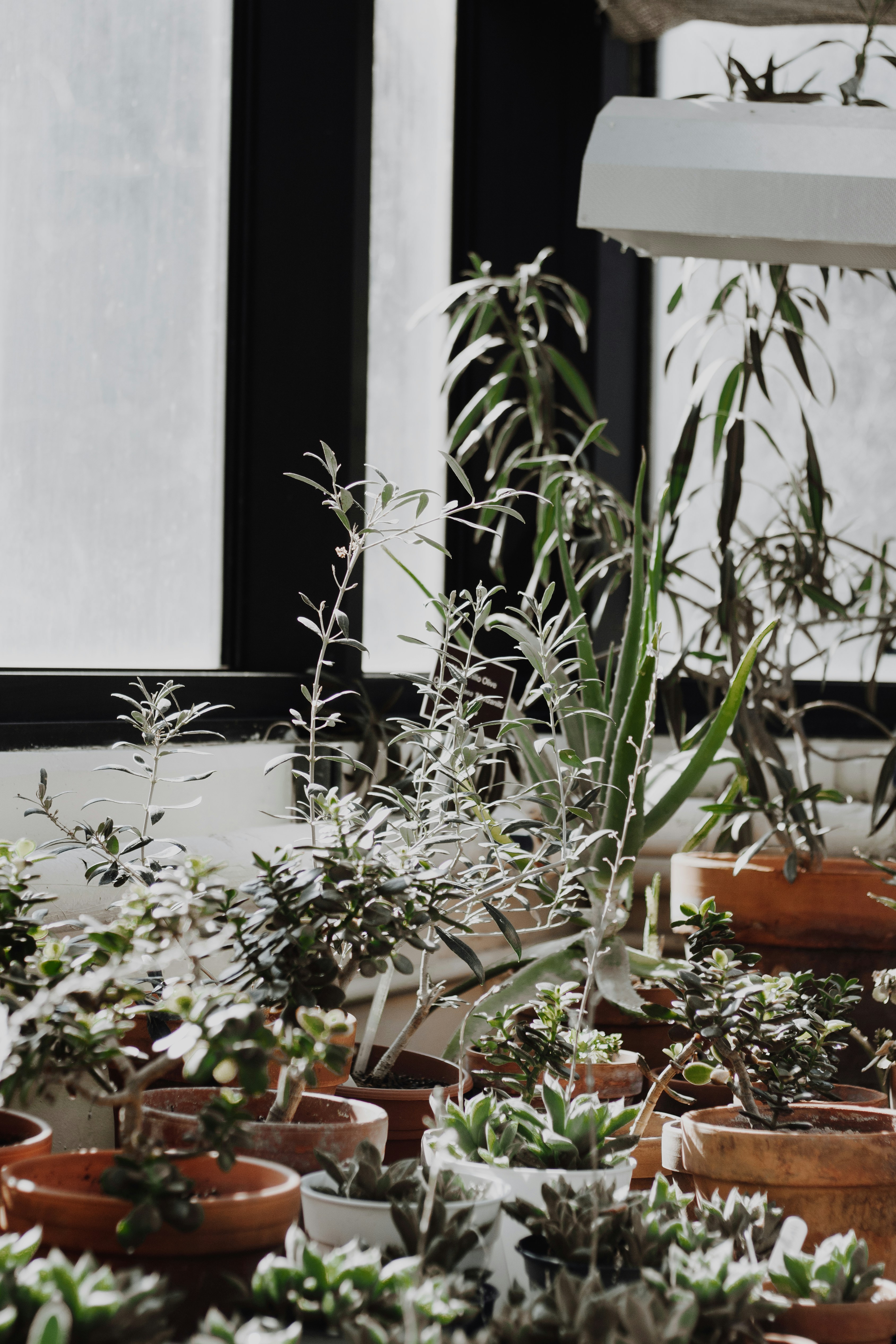 Photo by hayleymurrayphoto