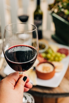 herzegovina-wine-glass-tasting