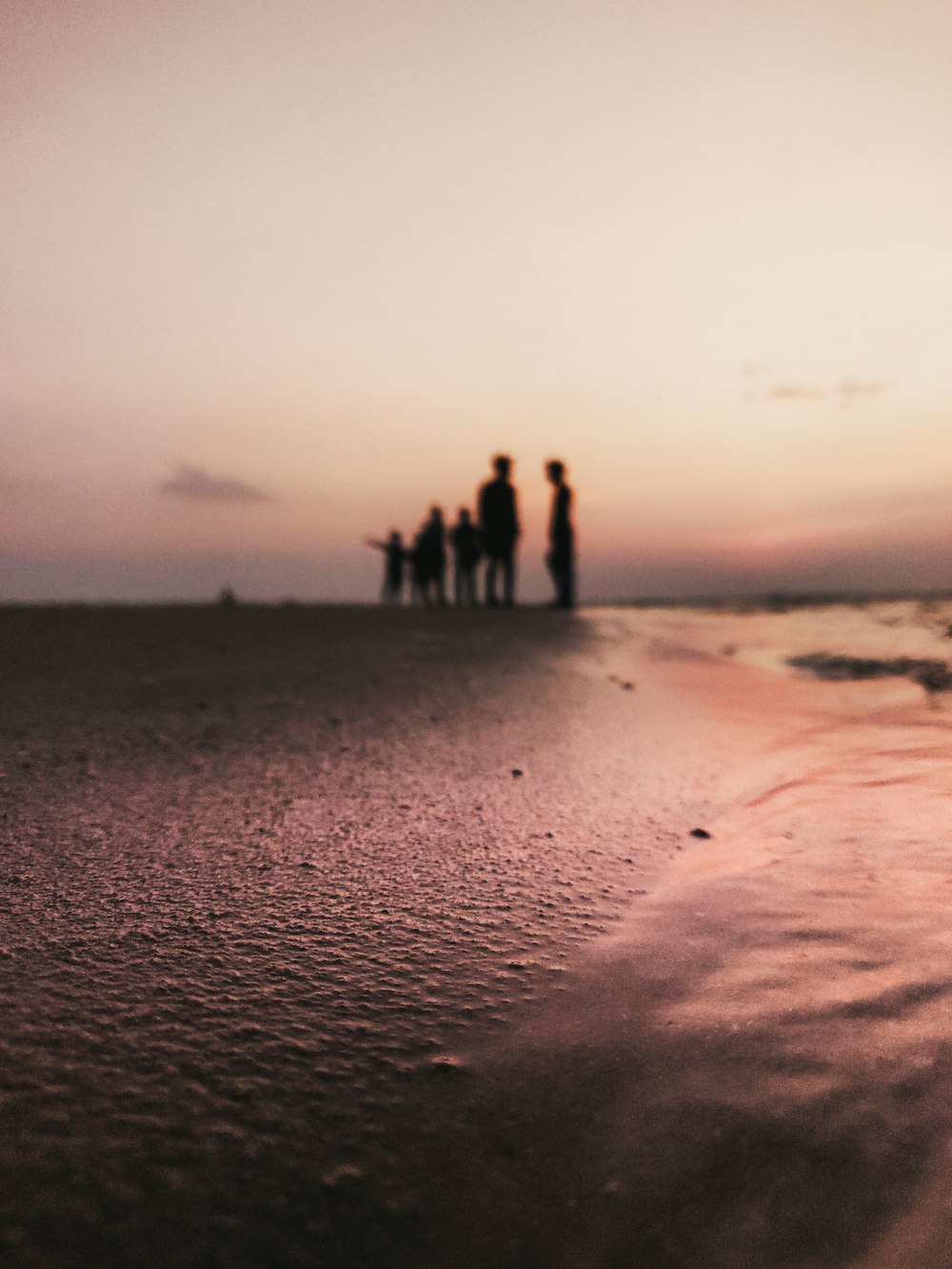 silhouette of people standing on shore