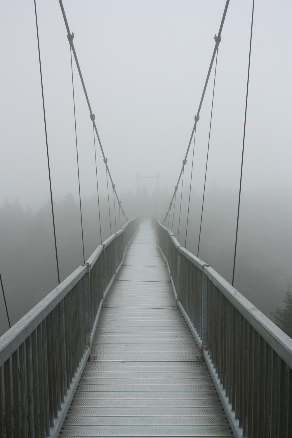 wooden bridge in grayscale photography