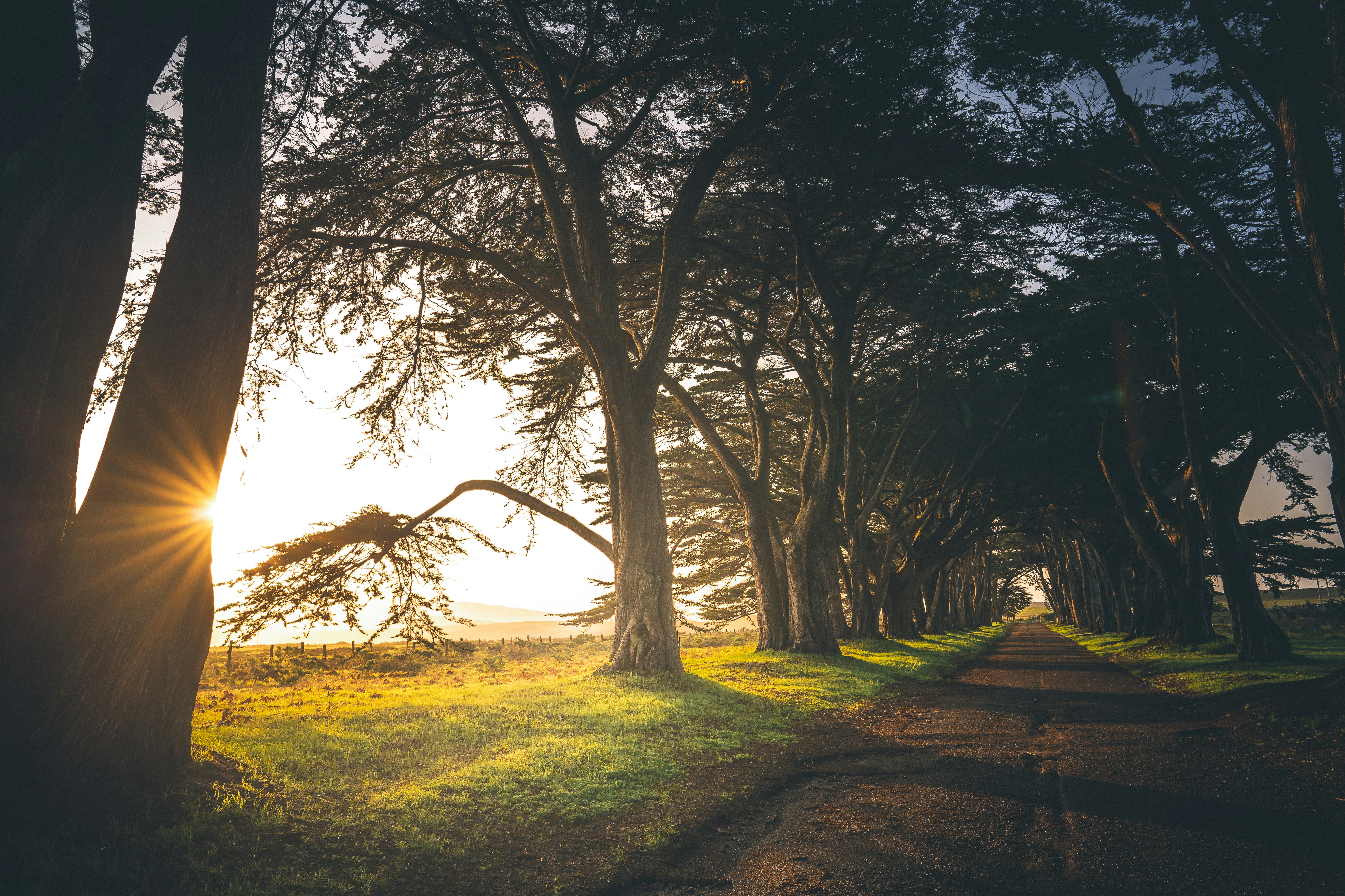 Photo by mischievous_penguins