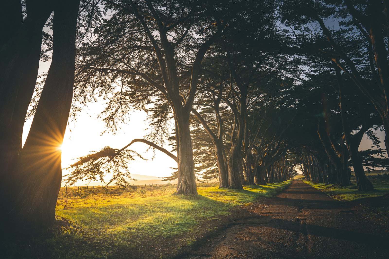 Sony FE 24mm F1.4 GM sample photo. Golden hour photography