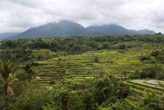 A beautiful landscape of Vietnam showcasing lush greenery and mountains.