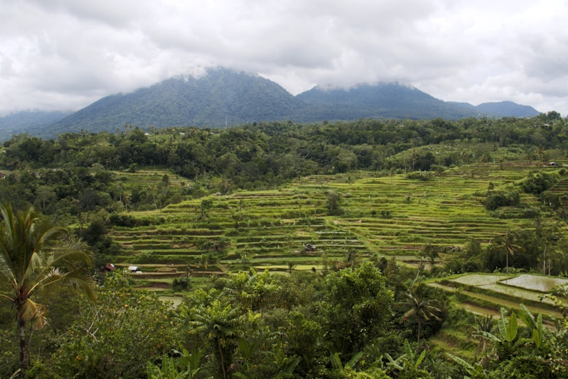 A beautiful landscape of Vietnam showcasing lush greenery and mountains.