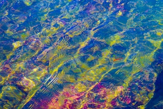 Vibrant ripples of water displaying a kaleidoscope of colors, including blues, greens, yellows, and hints of magenta, create a mesmerizing and dynamic visual effect.