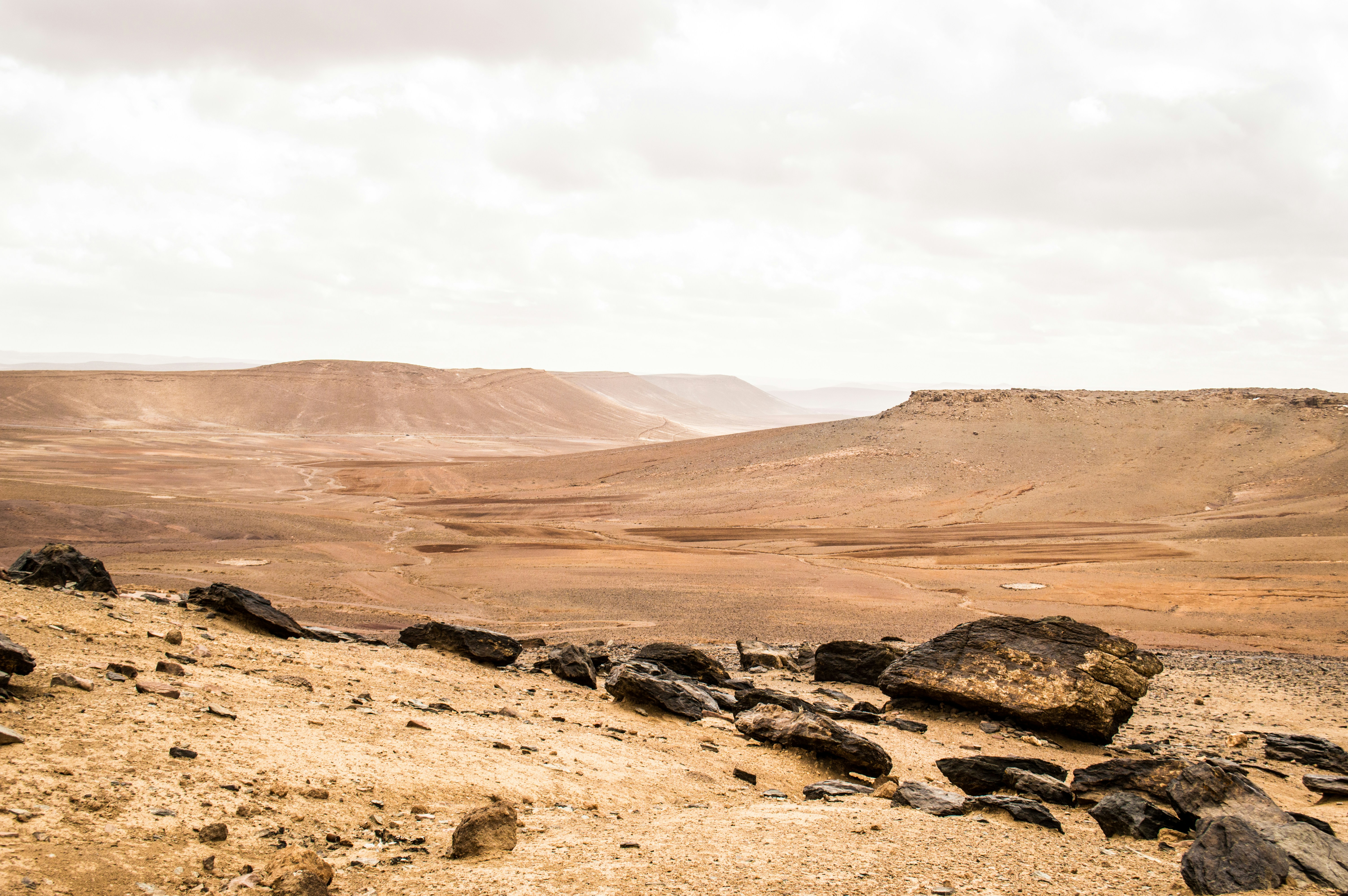 Photo by scottingram