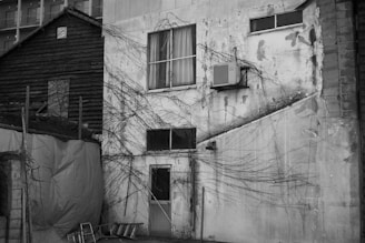 A dilapidated building facade with visible cracks and peeling paint has bare, creeping vines extending over its surface. An air conditioning unit is attached near one of the windows. A wooden ladder leans against the wall below, and part of an adjacent structure is covered with a tarp.