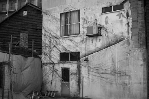 A dilapidated building facade with visible cracks and peeling paint has bare, creeping vines extending over its surface. An air conditioning unit is attached near one of the windows. A wooden ladder leans against the wall below, and part of an adjacent structure is covered with a tarp.
