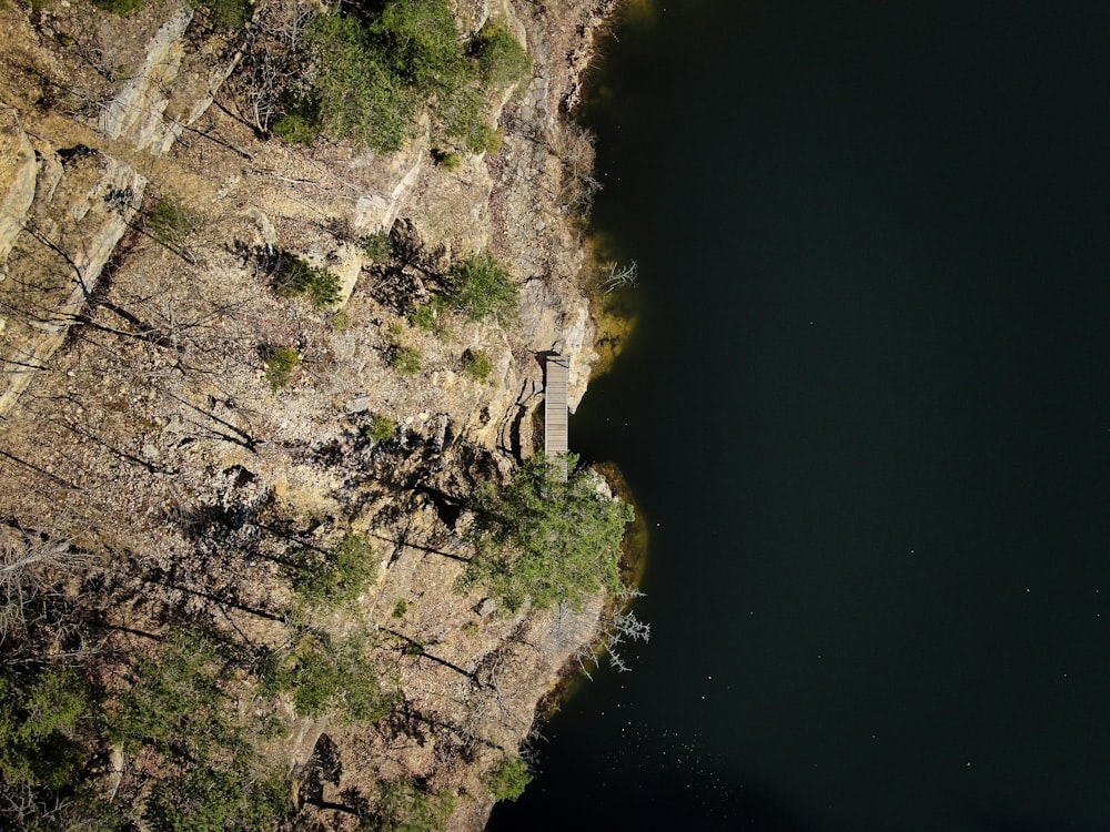 aerial photo of trees and land