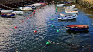 A group of small boats are moored in a calm harbor, surrounded by vibrant green and red buoys. The boats vary in color and size, and they are tethered with ropes to the edge of the stone-lined dock.