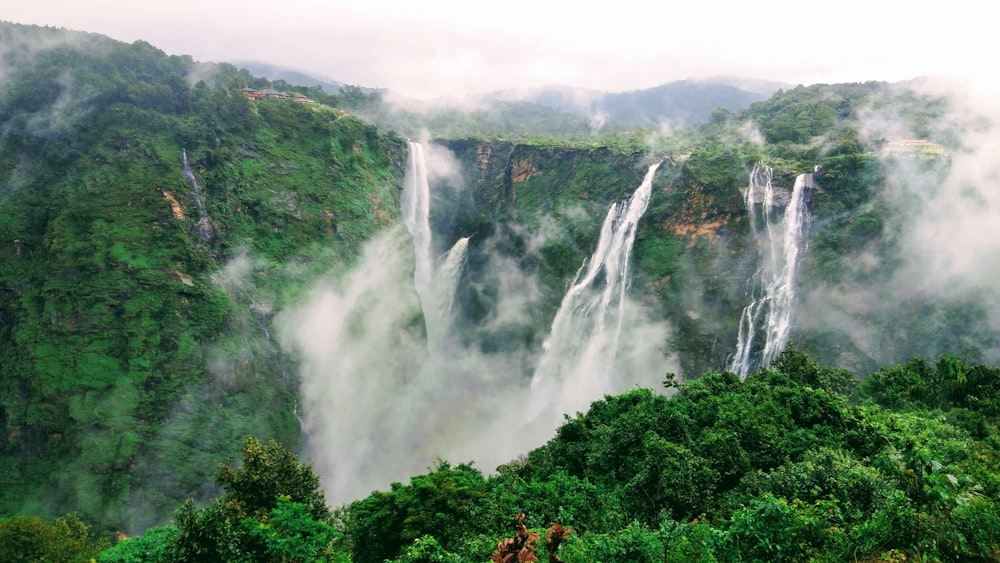 waterfalls in forest