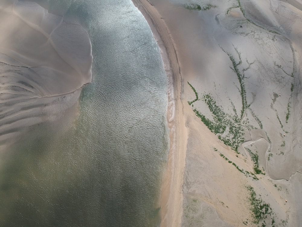 high-angle photography of body of water near plants