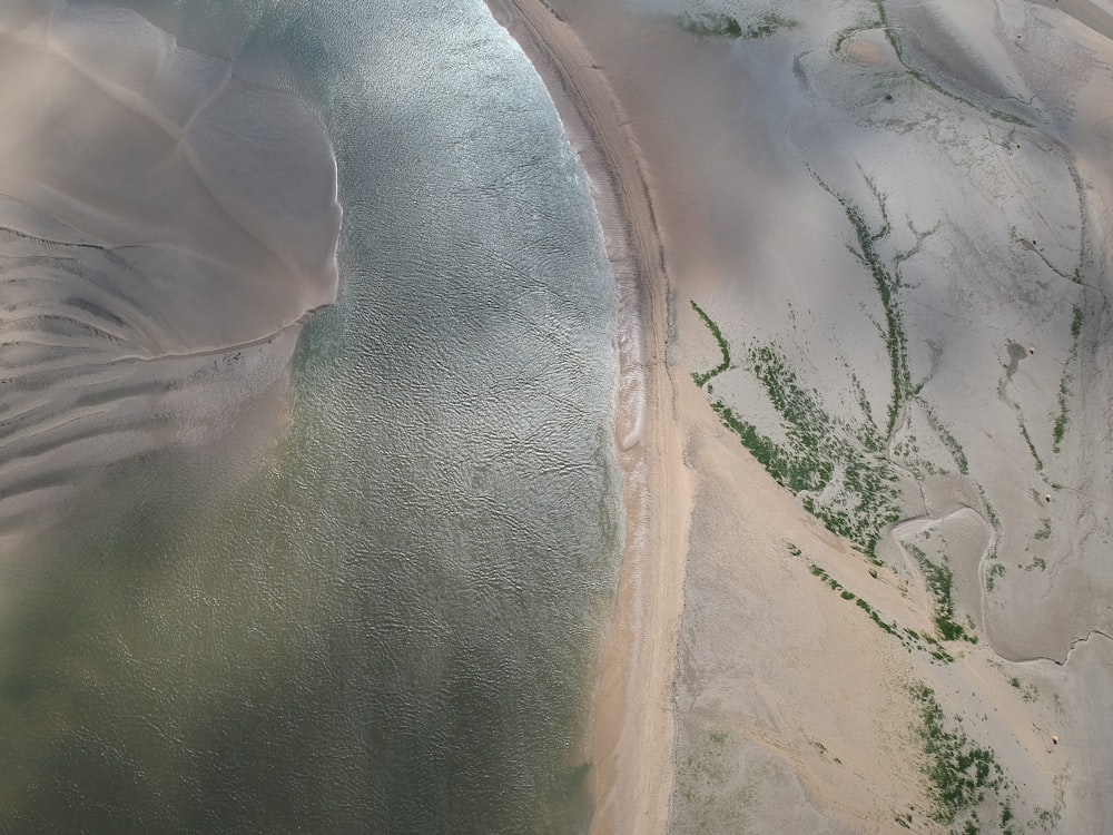 fotografia de alto ângulo do corpo d'água perto de plantas