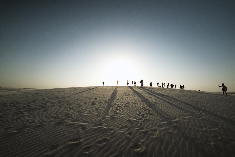 Gente en el desierto bajo el cielo azul