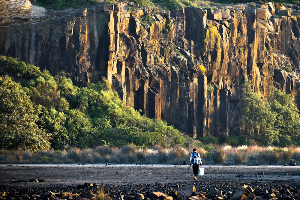 a person walking on a beach near a cliff