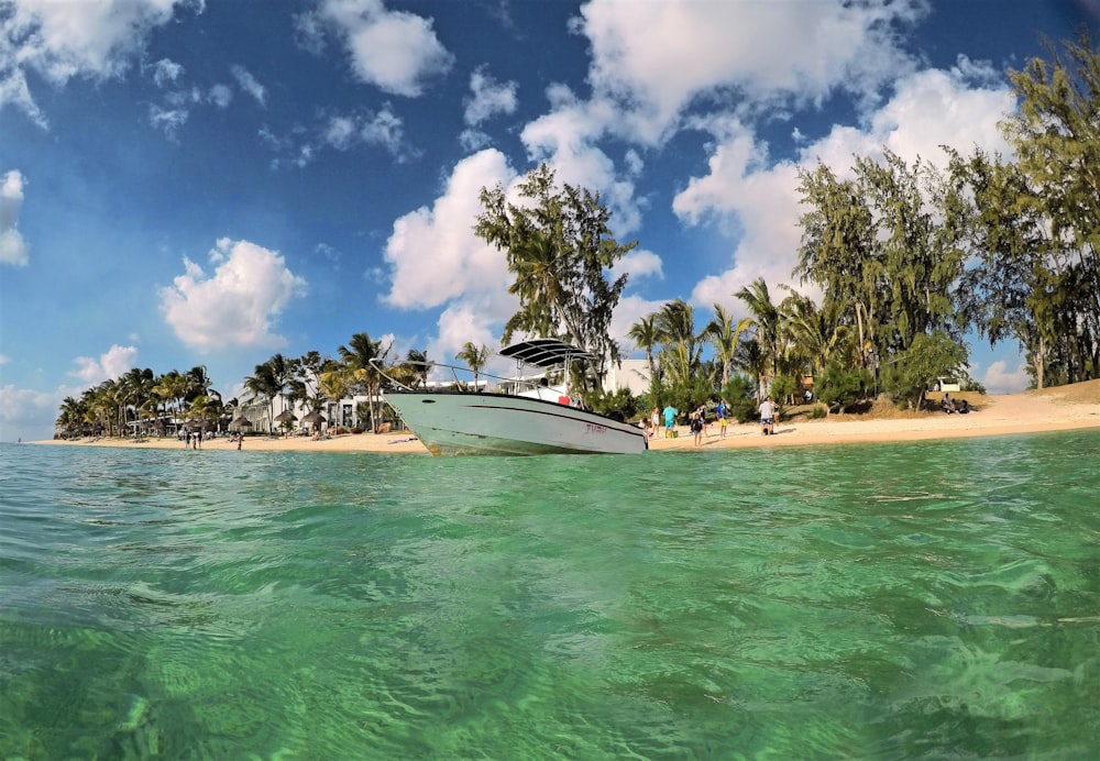 low-angle photography of powerboat near shore