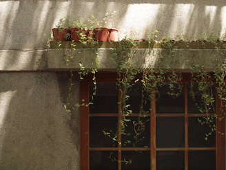 A sunlit windowsill lined with small, hand-painted ceramic vases in warm reds, yellows, and greens.