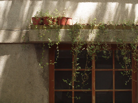A bright kitchen with DIY terracotta planters hanging by the window.