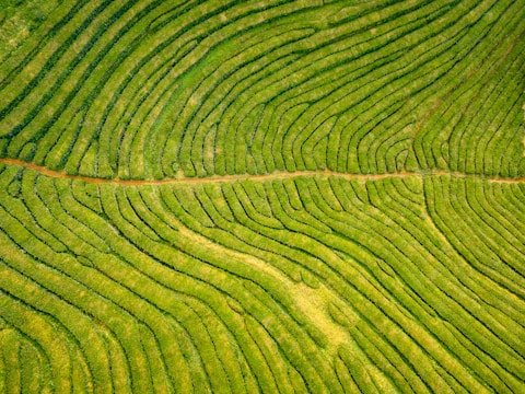 Aerial view of terraced farmland with contour lines and restored pathways in a rural area.
