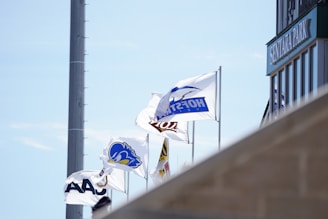 Flags are waving in the wind against a clear blue sky, adjacent to the corner of a building with 'SENTAKA PARK' signage. The flags have various logos and designs, representing different organizations and teams.